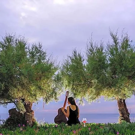 Nefeli Sunset Ξενοδοχείο με διαμερίσματα Πολλώνια